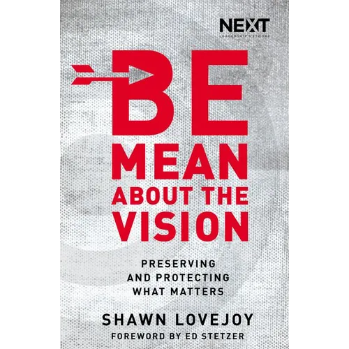 The Be Mean about the Vision: Preserving and Protecting What Matters