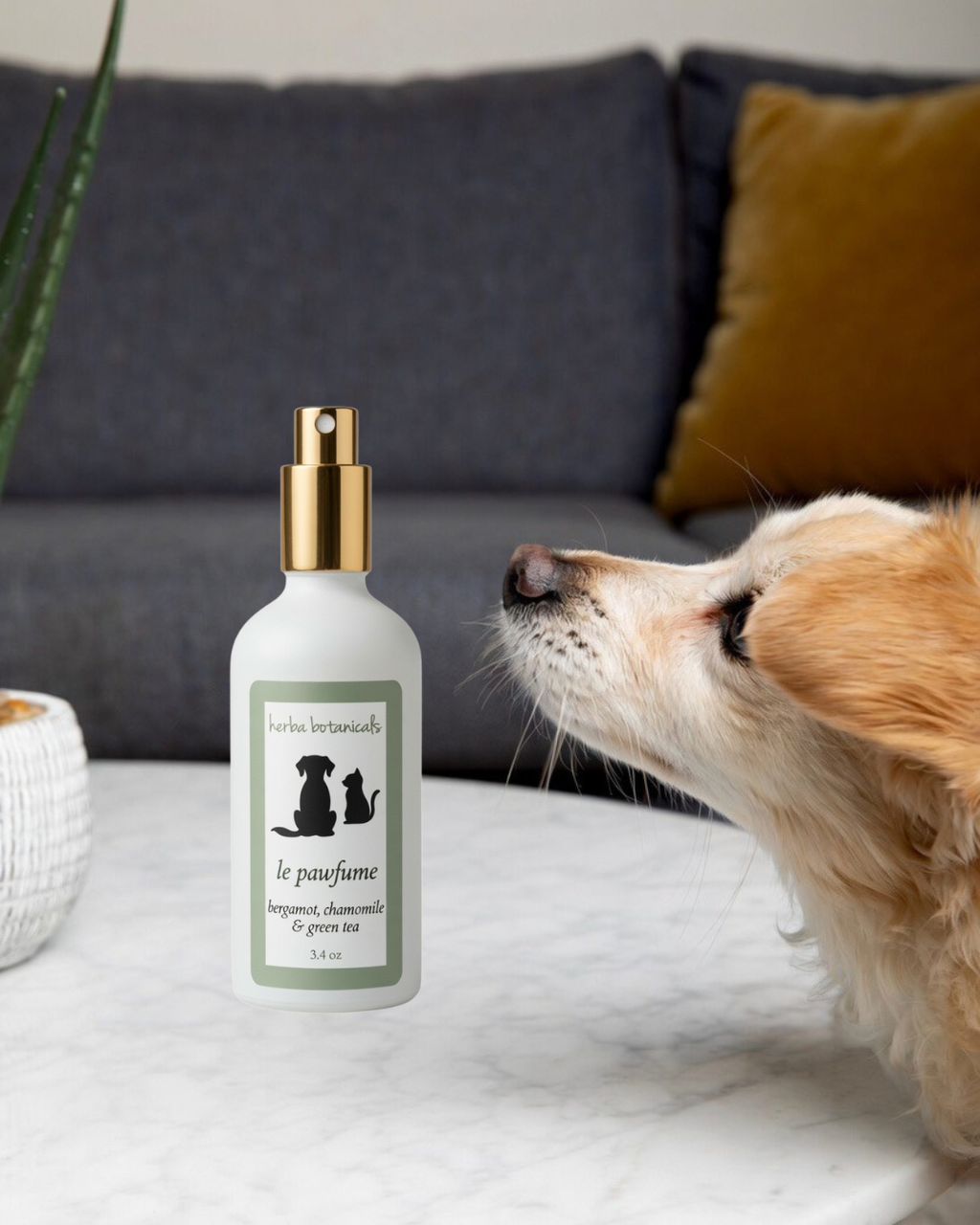 Natural Pet Coat & Freshening Spray
