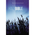 Value Outreach Bible-NIV