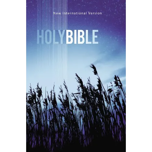 Value Outreach Bible-NIV