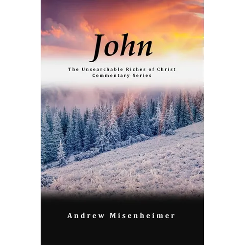 John: The Unsearchable Riches of Christ Commentary Series