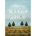 Under the Wings of God: Twenty Biblical Reflections for a Deeper Faith