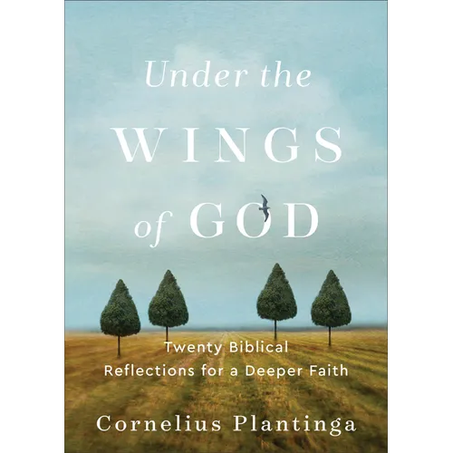 Under the Wings of God: Twenty Biblical Reflections for a Deeper Faith
