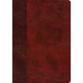 ESV Single Column Journaling Bible, Large Print (Trutone, Burgundy/Red, Timeless Design)