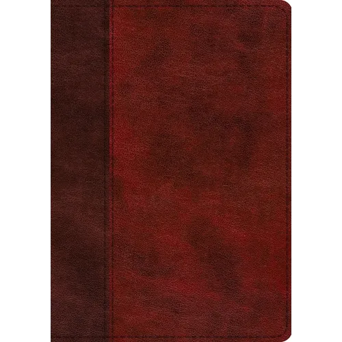 ESV Single Column Journaling Bible, Large Print (Trutone, Burgundy/Red, Timeless Design)