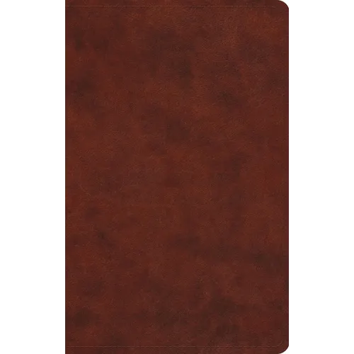ESV Large Print Value Thinline Bible (Trutone, Chestnut)