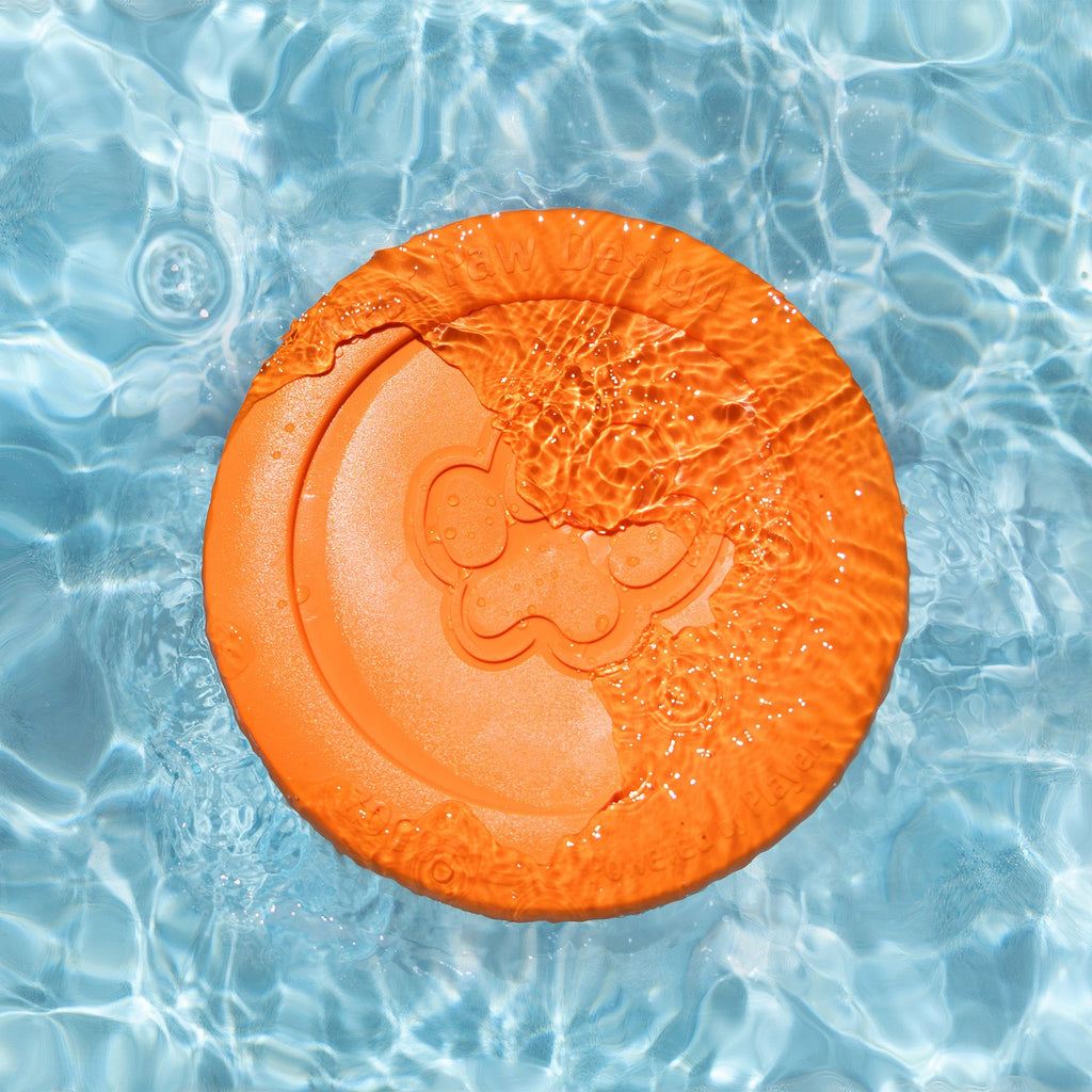 Zisc – Tough Floating Dog Frisbee