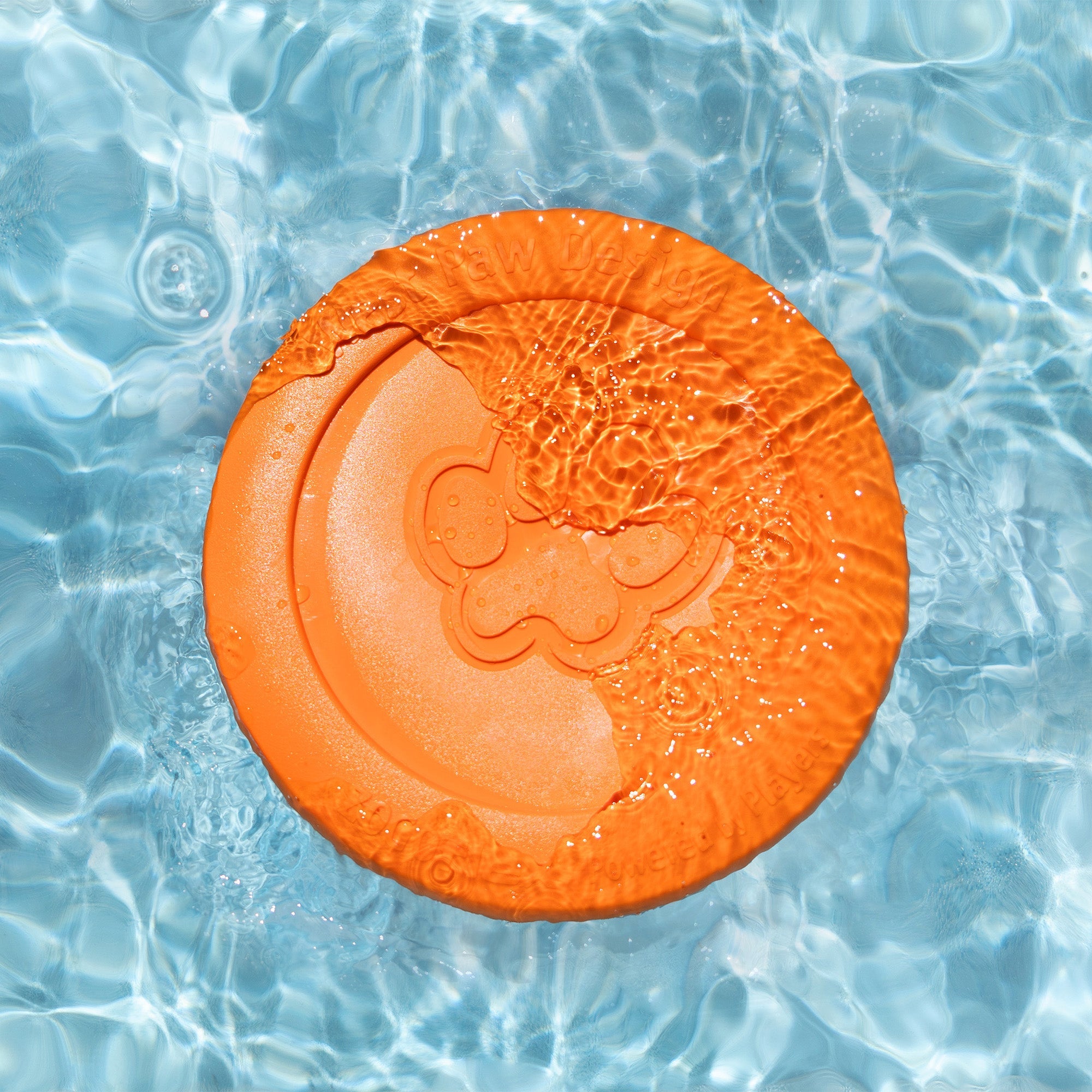 Zisc – Tough Floating Dog Frisbee