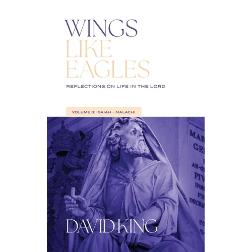 Wings Like Eagles: Reflections on Life in the Lord - Volume 3 - Isaiah-Malachi: Reflections on Life