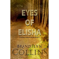 Eyes Of Elisha