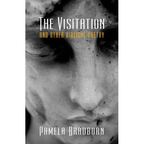 The Visitation and Other Biblical Poetry