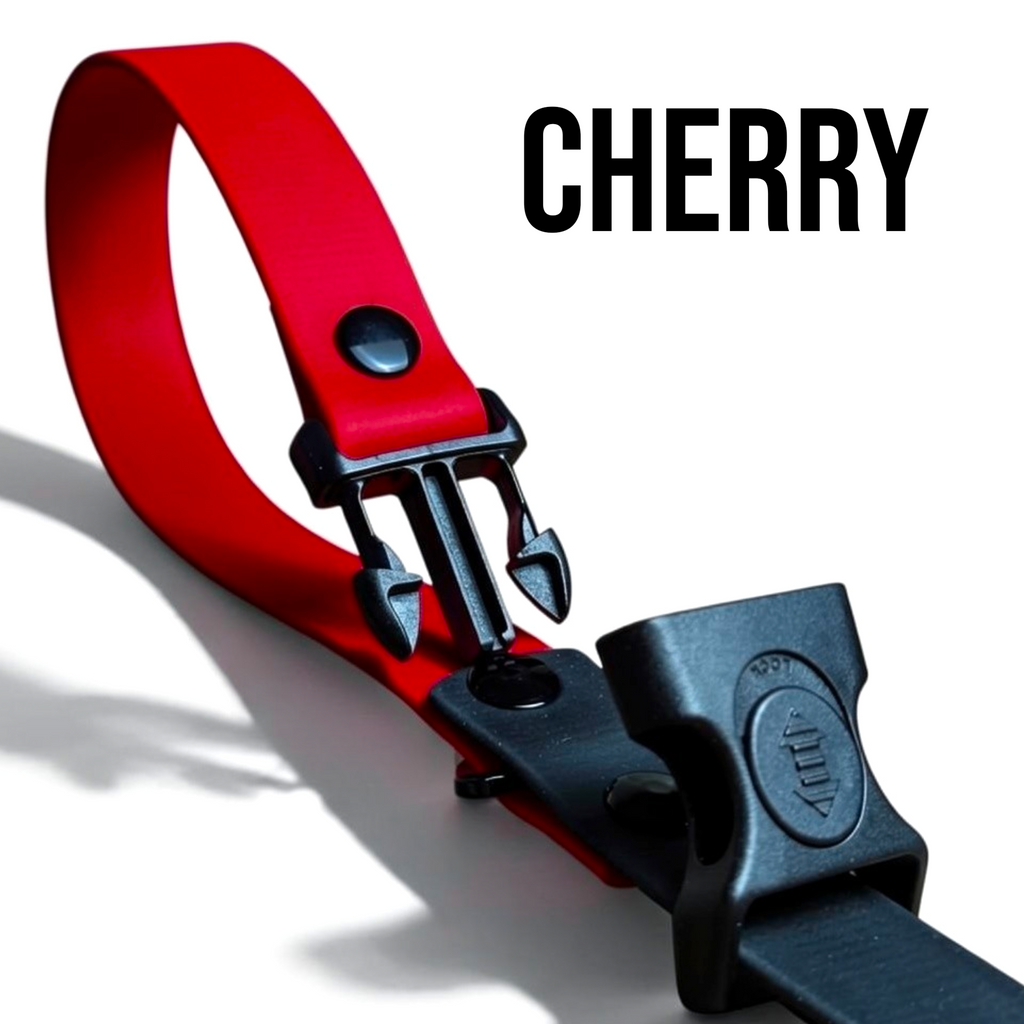 Waterproof BioThane Dog Leash with Locking Handle