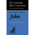 The Gospel According to John