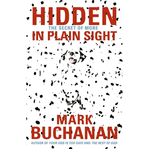 The Hidden in Plain Sight: The Secret of More