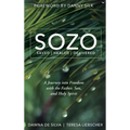 SOZO Saved Healed Delivered: A Journey into Freedom with the Father, Son, and Holy Spirit