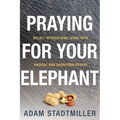 Praying for Your Elephant: Boldly Approaching Jesus with Radical and Audacious Prayer