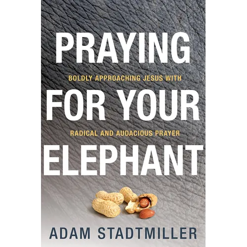 Praying for Your Elephant: Boldly Approaching Jesus with Radical and Audacious Prayer