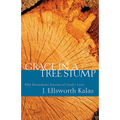 Grace in a Tree Stump: Old Testament Stories of God's Love
