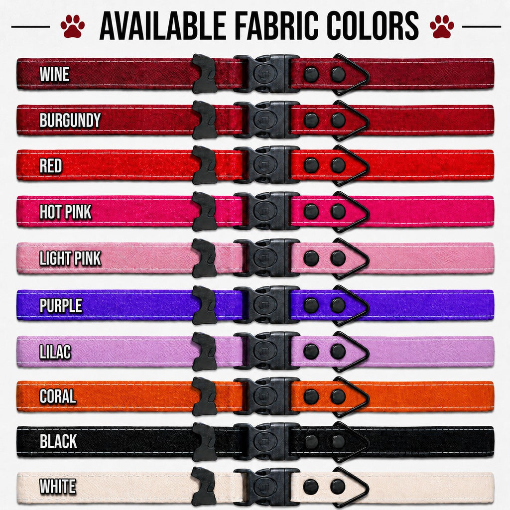 Hands-Free LED Dog Leash for Walking & Running
