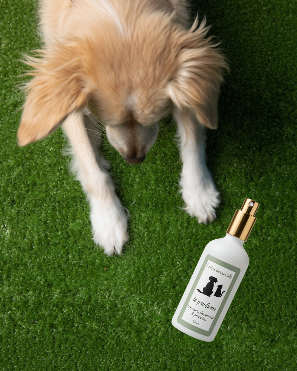 Natural Pet Coat & Freshening Spray