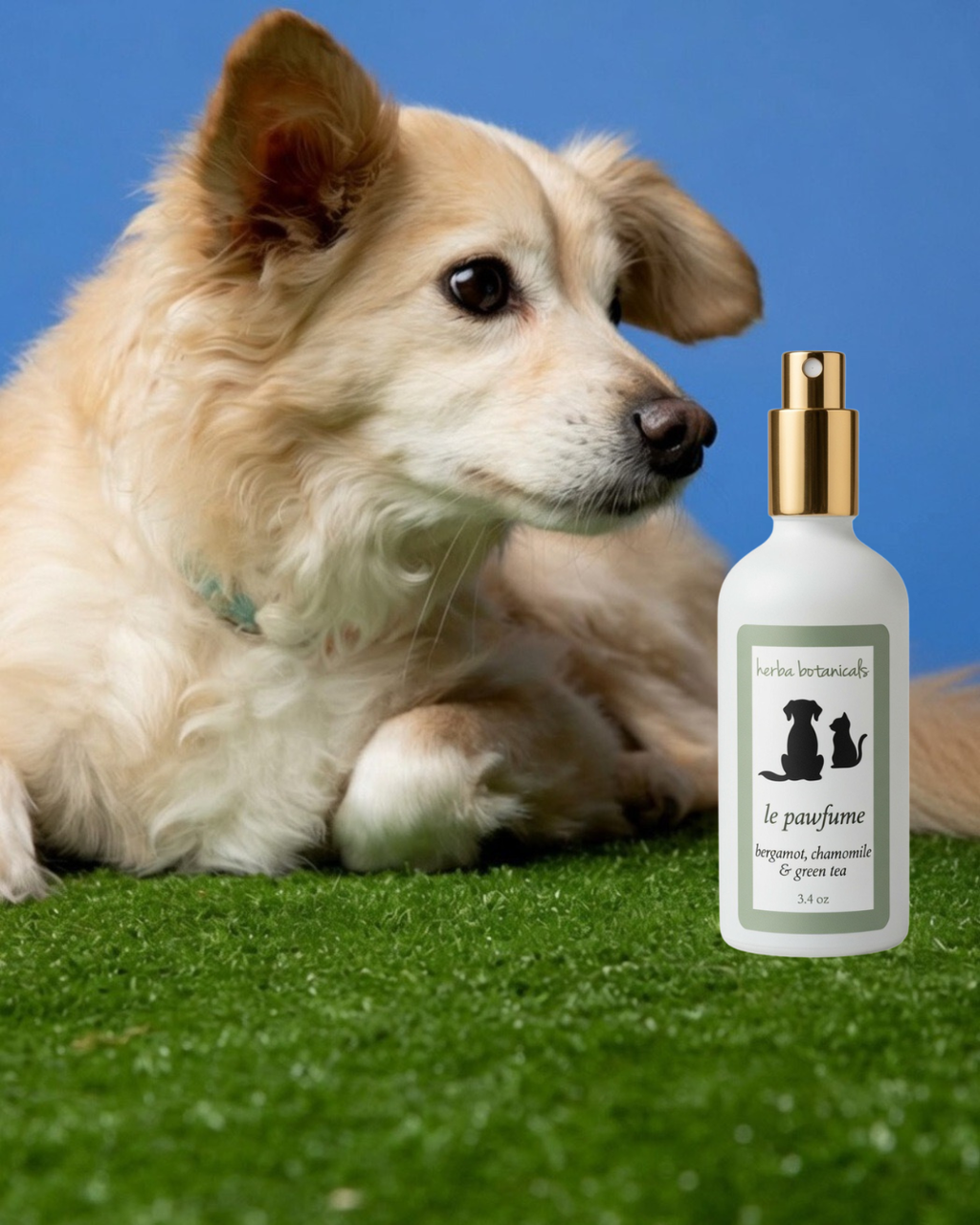 Natural Pet Coat & Freshening Spray