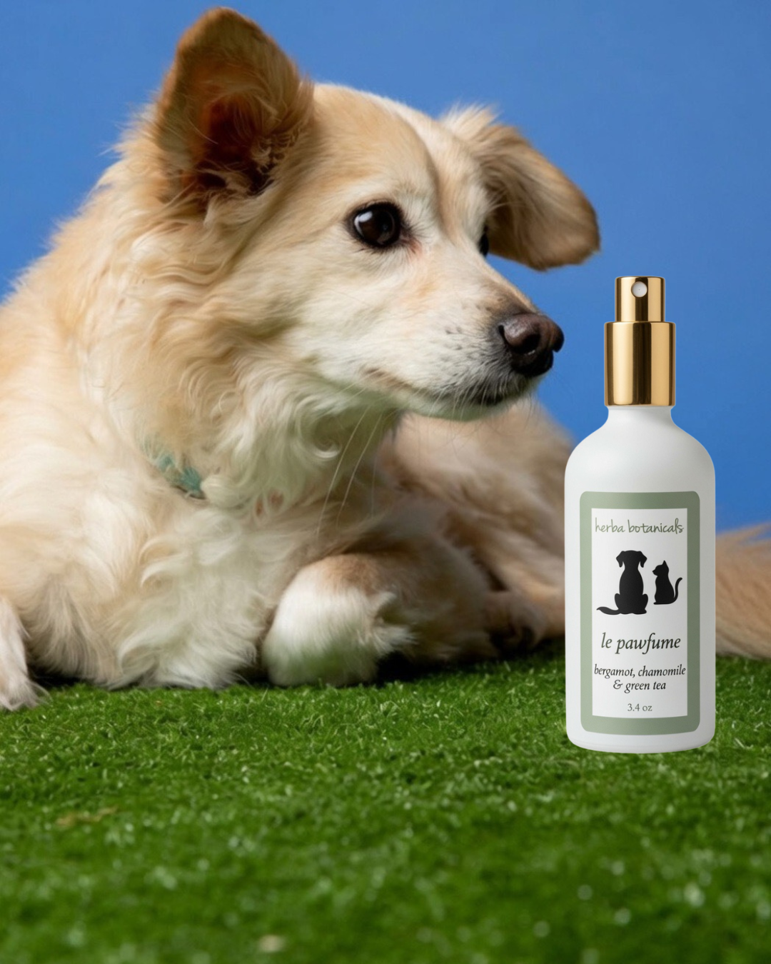 Natural Pet Coat & Freshening Spray