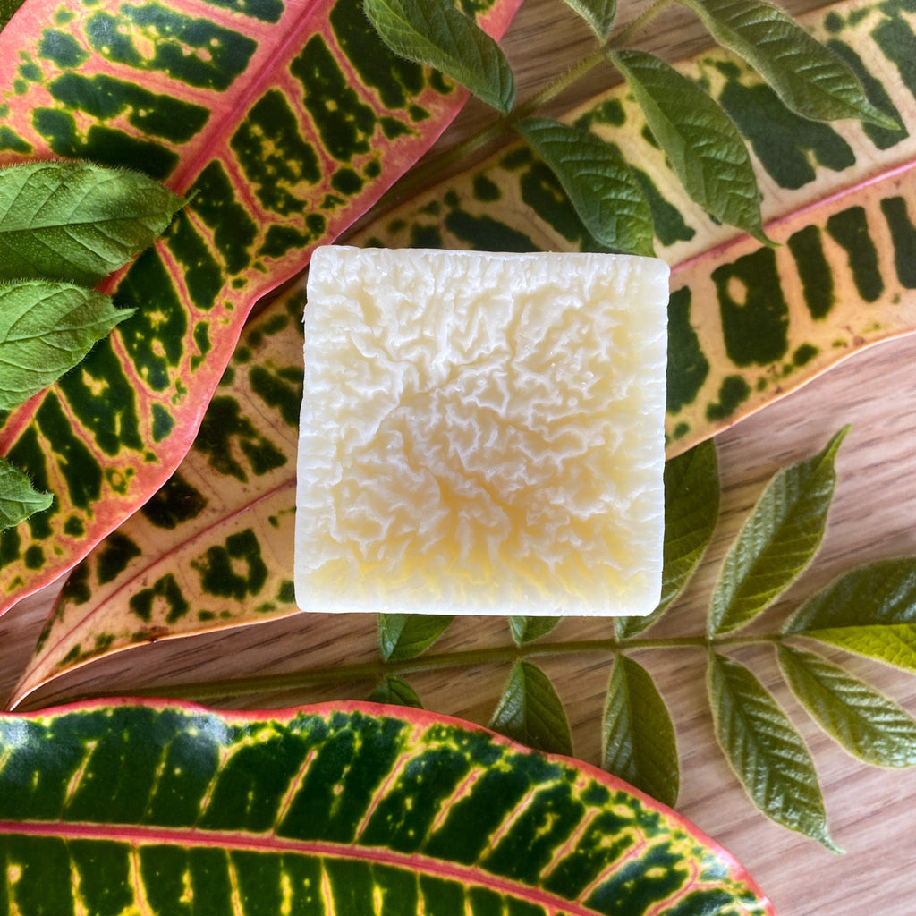 Unscented Pet Conditioner Bar for Dogs & Cats