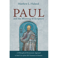 Paul and the Meaning of Scripture: A Philosophical-Hermeneutic Approach to Paul's Use of the Old Testament in Romans