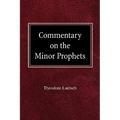 Commentary on the Minor Prophets