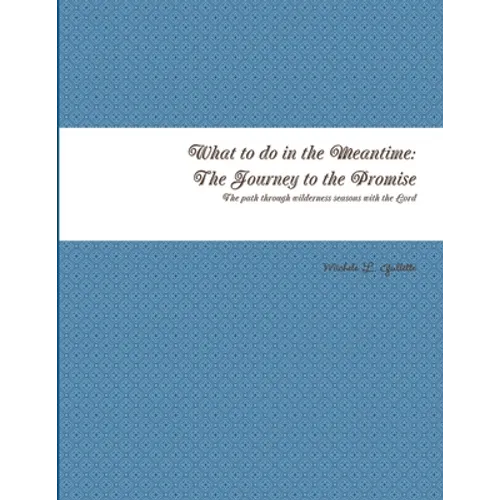 What to do in the Meantime: The Journey to God's Promises