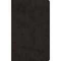 ESV Large Print Value Thinline Bible (Trutone, Black)