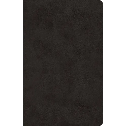 ESV Large Print Value Thinline Bible (Trutone, Black)
