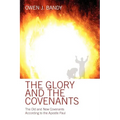 The Glory and the Covenants: The Old and New Covenants According to the Apostle Paul