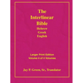 Larger Print Bible-Il-Volume 4