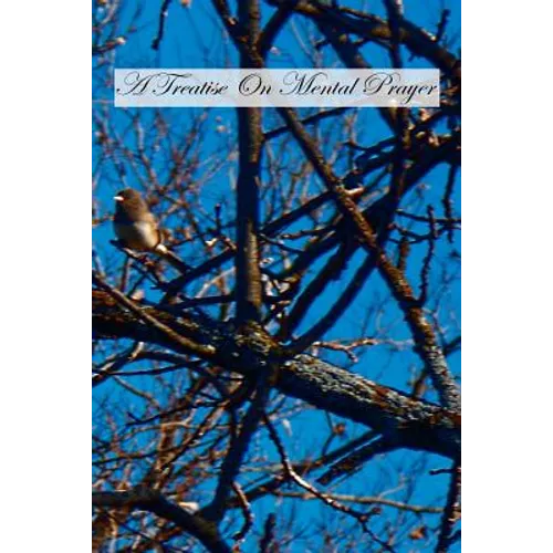 A Treatise On Mental Prayer