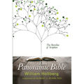 The Panoramic Bible: The Storyline of Scripture