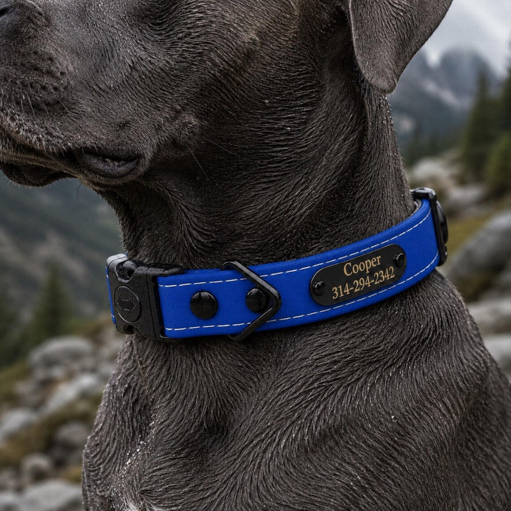 Waterproof AirTag Dog Collar with Holder