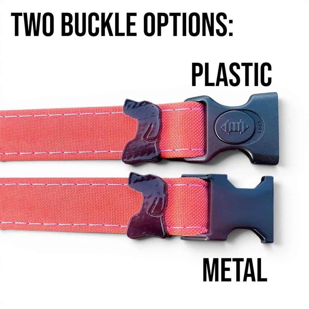 Waterproof AirTag Dog Collar with Holder