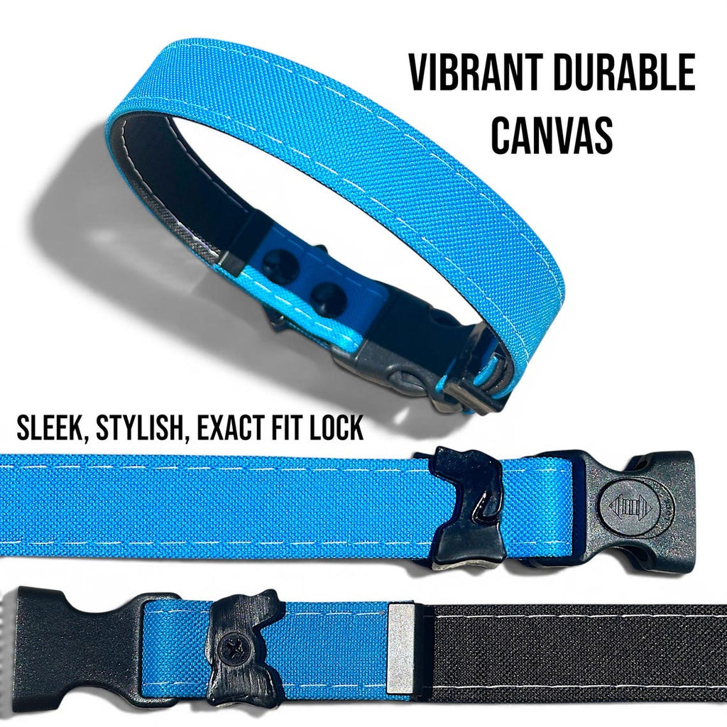 Waterproof AirTag Dog Collar with Holder