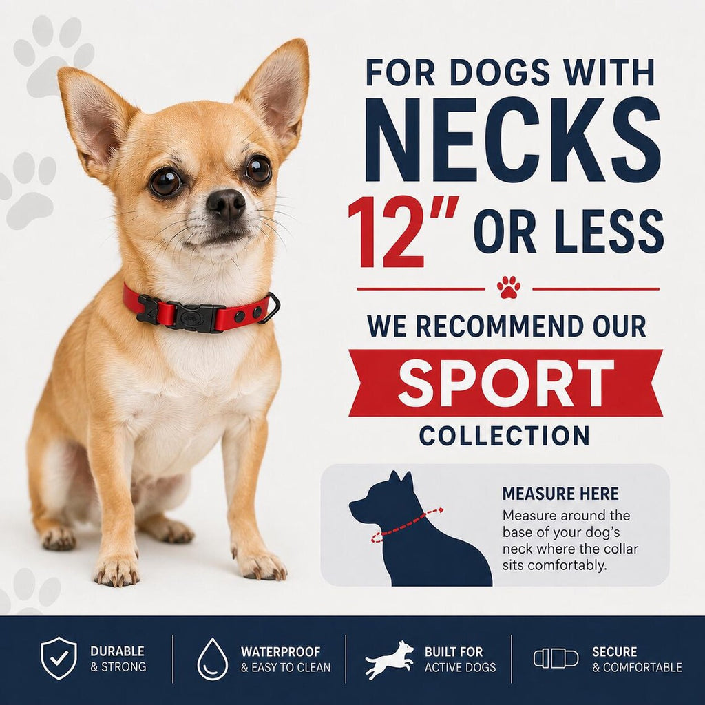 Waterproof AirTag Dog Collar with Holder