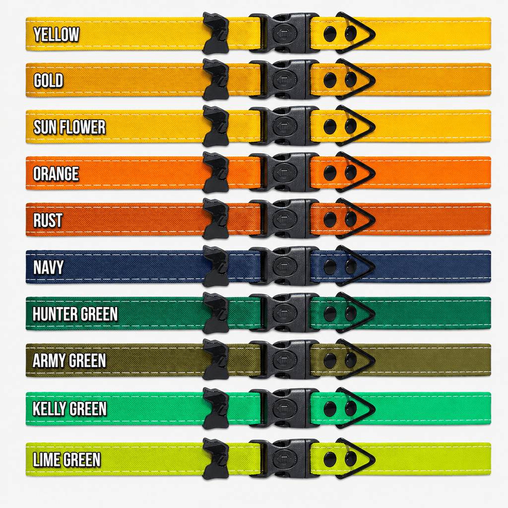 Hands-Free LED Dog Leash for Walking & Running