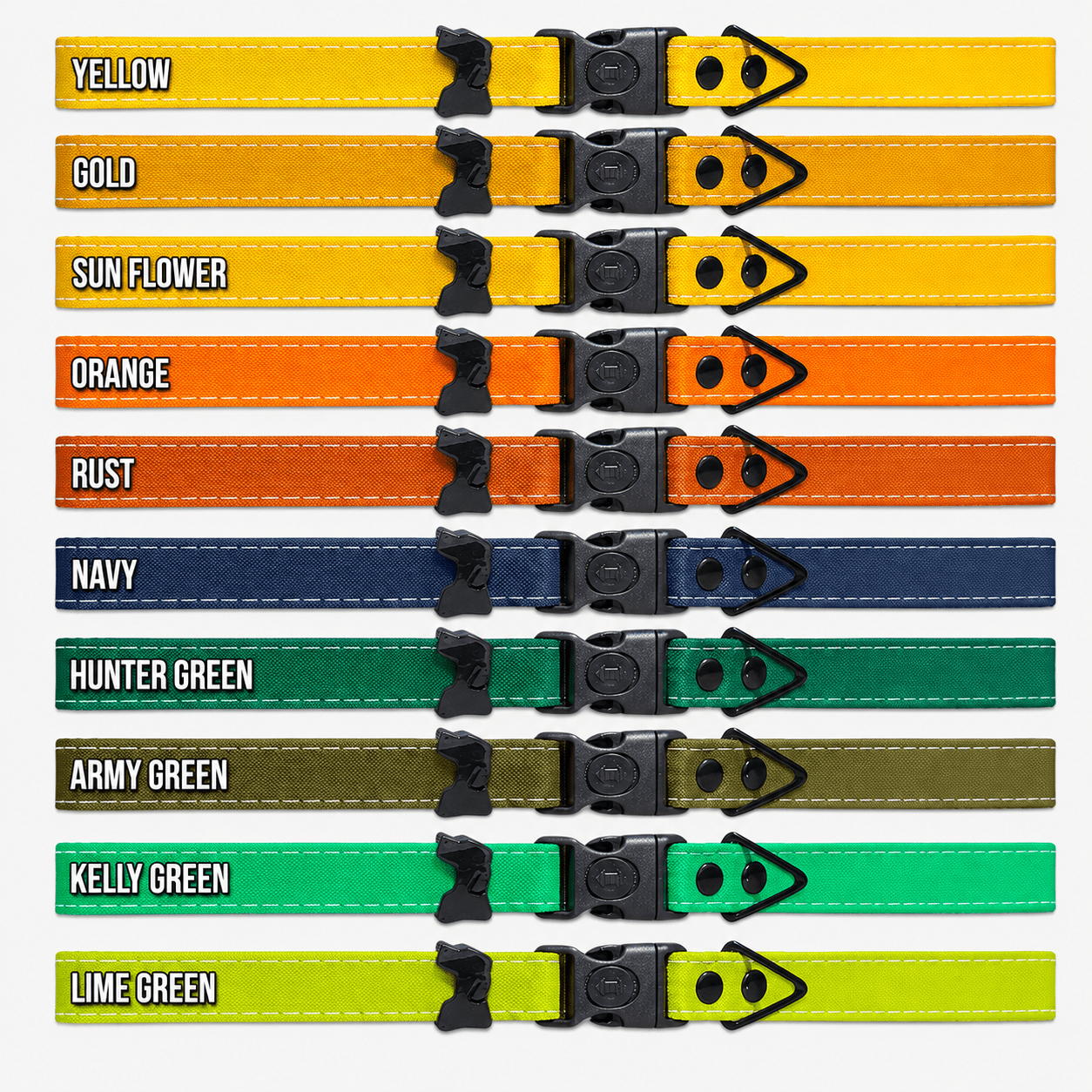 Hands-Free LED Dog Leash for Walking & Running