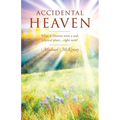 Accidental Heaven: What If Heaven Were a Real, Physical Place...Right Now?
