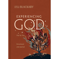 Experiencing God Day-By-Day: A Devotional and Journal
