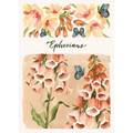 ESV Scripture Journal: Ephesians (Artwork by Ruth Chou Simons) (Paperback)