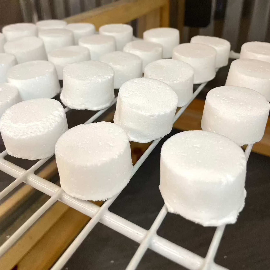 Toilet Fizzies - Clean & Refresh