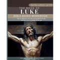 The Book of Luke I Kids Workbook to Help Children Study and Understand the Bible I Biblical quizzes for kids ages 9 and above: Bible-Base Workbook, Bi