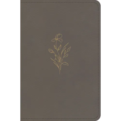 KJV Large Print Compact Reference Bible, Clay Leathertouch