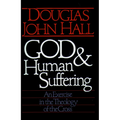 God and Human Suffering